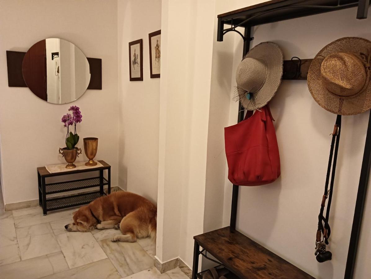 Laura Domus Apartment ปอร์ติชี ภายนอก รูปภาพ