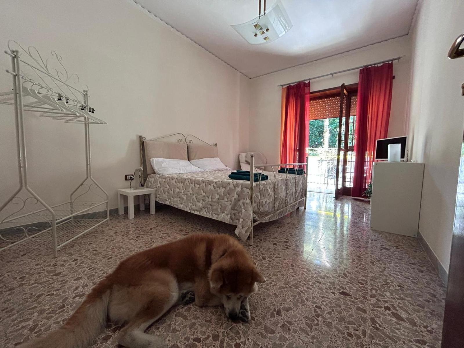 Laura Domus Apartment ปอร์ติชี ภายนอก รูปภาพ